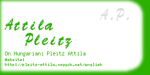attila pleitz business card